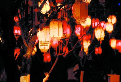花燈璀璨 “泉”賀新春